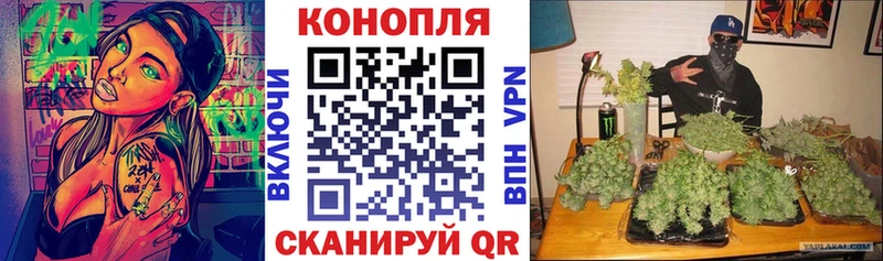 Купить наркоту Могоча СОЛЬ  МЕТАДОН  Бошки Шишки  COCAIN  Лсд 25  Мефедрон 