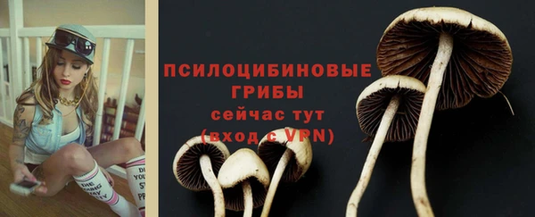 первитин Богородицк